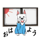 うえ とまり（ウエスティ）（個別スタンプ：1）