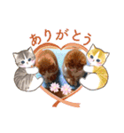 うめにゃん☆くりにゃん☆3（個別スタンプ：2）