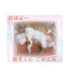うめにゃん☆くりにゃん☆3（個別スタンプ：6）