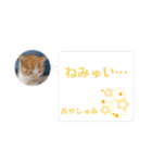 うめにゃん☆くりにゃん☆3（個別スタンプ：10）