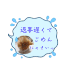 うめにゃん☆くりにゃん☆3（個別スタンプ：11）