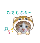 うめにゃん☆くりにゃん☆3（個別スタンプ：14）