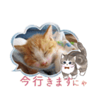 うめにゃん☆くりにゃん☆3（個別スタンプ：15）