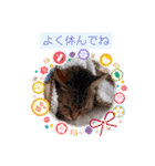 うめにゃん☆くりにゃん☆3（個別スタンプ：18）