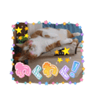 うめにゃん☆くりにゃん☆3（個別スタンプ：20）