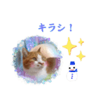 うめにゃん☆くりにゃん☆3（個別スタンプ：23）