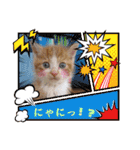 うめにゃん☆くりにゃん☆3（個別スタンプ：27）