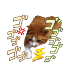 うめにゃん☆くりにゃん☆3（個別スタンプ：28）