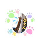 うめにゃん☆くりにゃん☆3（個別スタンプ：30）