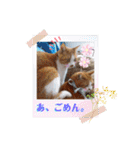 うめにゃん☆くりにゃん☆3（個別スタンプ：31）