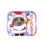 うめにゃん☆くりにゃん☆3（個別スタンプ：38）