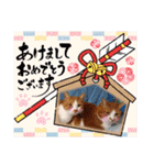 うめにゃん☆くりにゃん☆3（個別スタンプ：40）