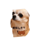 428(1)（個別スタンプ：4）
