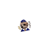 428(1)（個別スタンプ：5）