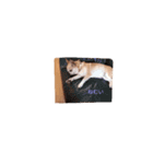 428(1)（個別スタンプ：7）