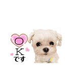 ♡レイちゃん1♡（個別スタンプ：1）