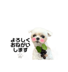 ♡レイちゃん1♡（個別スタンプ：3）