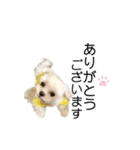 ♡レイちゃん1♡（個別スタンプ：4）