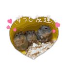 生き物スタンプ☆動物、昆虫、爬虫類（個別スタンプ：1）