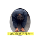 200万ニキ きよぴこ（個別スタンプ：5）