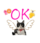 NEKO20221129（個別スタンプ：3）