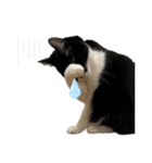 NEKO20221129（個別スタンプ：23）