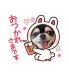 ぶー太郎(レオ)（個別スタンプ：4）