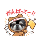 ぶー太郎(レオ)（個別スタンプ：8）