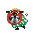 ぶー太郎(レオ)（個別スタンプ：13）