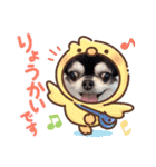 愛犬REO（個別スタンプ：1）
