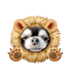 愛犬REO（個別スタンプ：5）