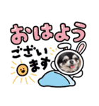愛犬REO（個別スタンプ：7）