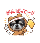 愛犬REO（個別スタンプ：8）