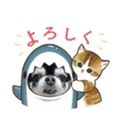 愛犬REO（個別スタンプ：10）
