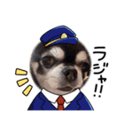 愛犬REO（個別スタンプ：11）