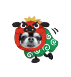 愛犬REO（個別スタンプ：13）