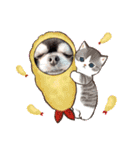 愛犬REO（個別スタンプ：17）