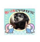 栗栖家のペットたち（個別スタンプ：1）