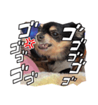 栗栖家のペットたち（個別スタンプ：4）