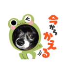 栗栖家のペットたち（個別スタンプ：5）