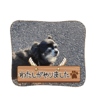 栗栖家のペットたち（個別スタンプ：7）