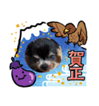 栗栖家のペットたち（個別スタンプ：13）