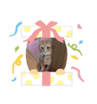 栗栖家のペットたち（個別スタンプ：14）