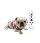 もふもふ姉弟 3（個別スタンプ：6）