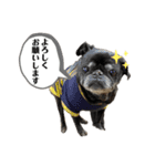 もふもふ姉弟 3（個別スタンプ：14）