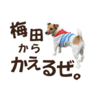jackmoisel（個別スタンプ：6）