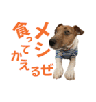 jackmoisel（個別スタンプ：9）