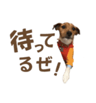 jackmoisel（個別スタンプ：11）