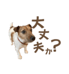 jackmoisel（個別スタンプ：14）