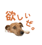 jackmoisel（個別スタンプ：18）
